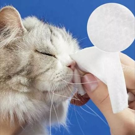 Mañera de limpieza de mascotas: gadgets para cuidado de higiene de mascotas