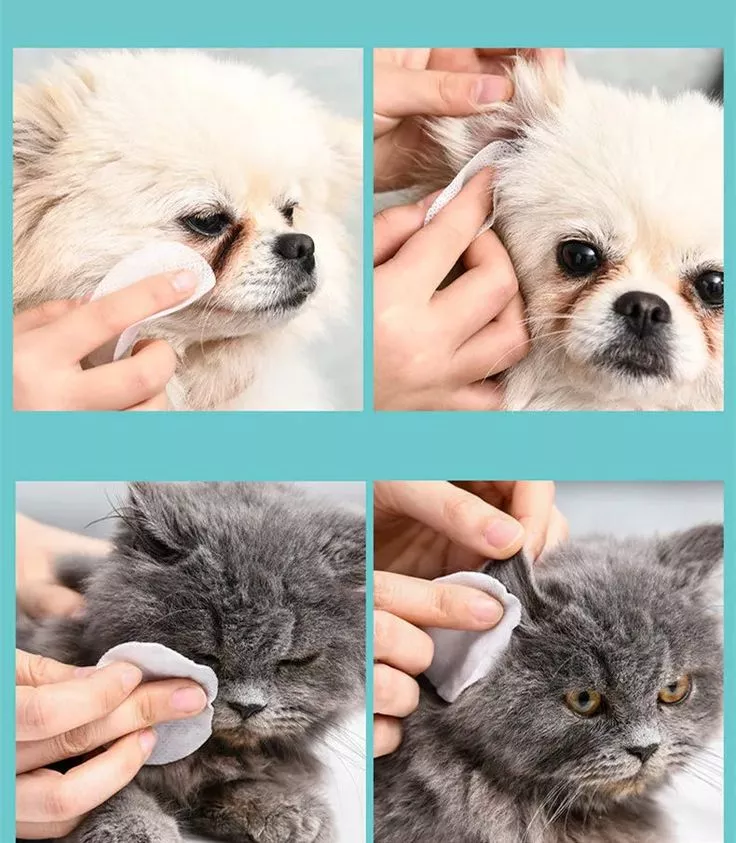 Por qué las toallitas de orejas para mascotas para perros para perros son ideales para la limpieza de la oreja