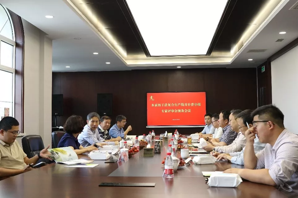 Reunión de preparación para el primer conjunto de aplicaciones de revisión de expertos en la línea de producción compuesta y hilado de madera y secado